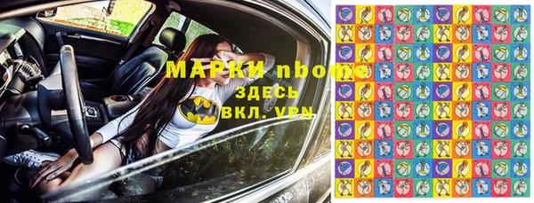 шишки Абинск